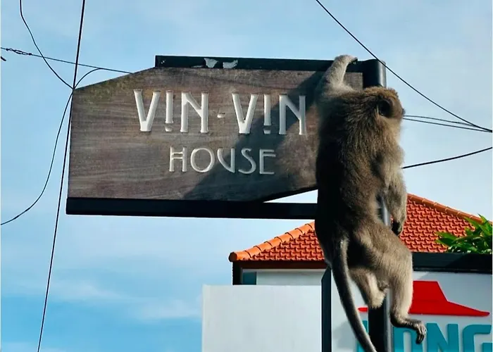 Vin Vin